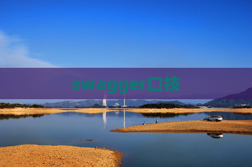 swagger口技